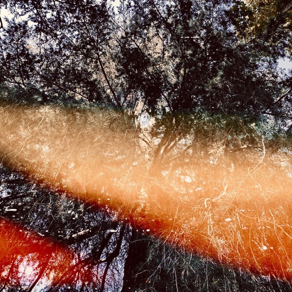 Art Print Lovely Star * Original Photography - Picture 1 of 6